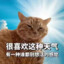 辰涟