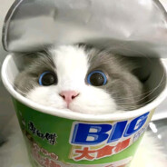 创死你们二次元