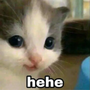 hehehee - steam id 76561198883221495