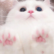 谁又心疼我的笨