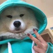 笨，笨蛋，哪有一边中出一边表白的吖