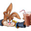 NesQuiK