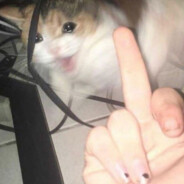 一个很好很好的人 宜臻