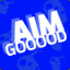 AIM GOOOOD