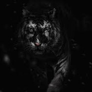 black tiger