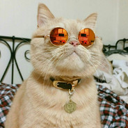 然后下面就没咯