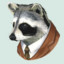 Dapper Raccoon