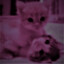 twixi1
