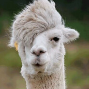 TinyLlamaLamps