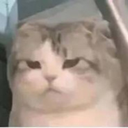 PIngGai