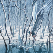 右手向上45°~西海