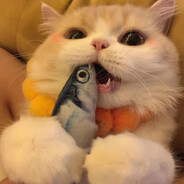 锤你个棒槌脑壳