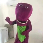 BARNEY VIOLA SAPOS