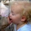 a kid licking a pig