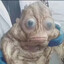 Xordy