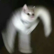 戴泽瑞德美拉德