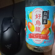 sgt.otaku30
