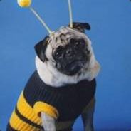 moz - steam id 76561197965542537