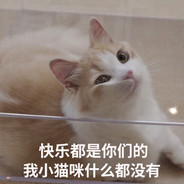 我不是航天鼠鼠我是坠日大人