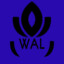 walson_wal2