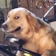 阿姨你女儿真騒