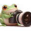 Frog with a cam
