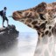 Giraffeman447