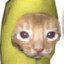 mqff1nign