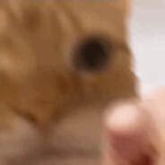 小小怪aaaaaaaaaaaaa