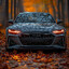 audi enjoyer