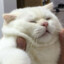 リミットくん
