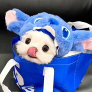 你算哪块小饼干