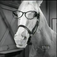 Mister Ed's avatar