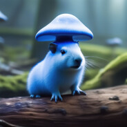 шалу-капибара