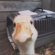 你我山巅自相逢