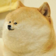 Doge De Shibe