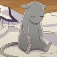 RatAstray