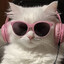 savage cat