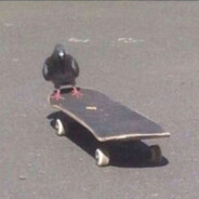 SK8BIRD