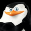 Skipper