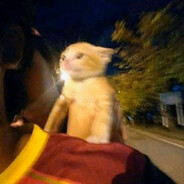 Coles Online Services avatar