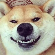 爸爸这不是胖，就是卫戴·大