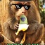 AssholeMonkey