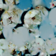 吸我下面大烟杆