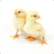 DD & CC....The One's:D