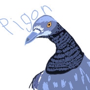 Pigon