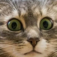 ? Steam avatar