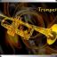 Trompet / Thomm