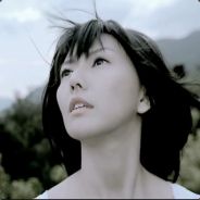 我不是那只大象