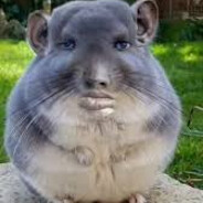 Markuch's avatar